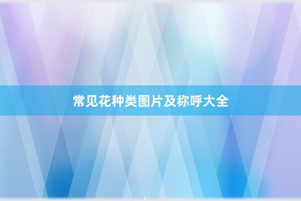 常见花种类图片及称呼大全
