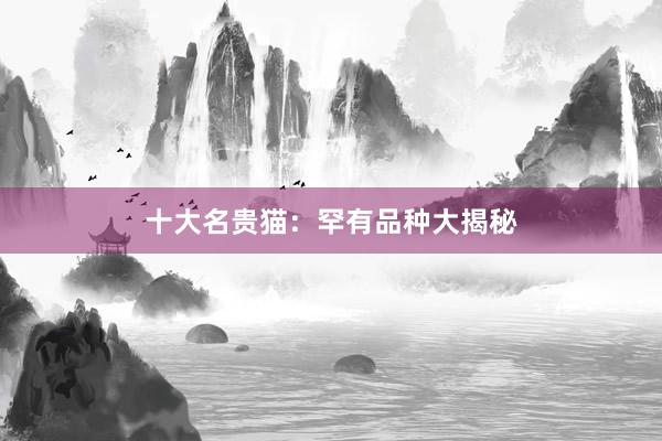 十大名贵猫：罕有品种大揭秘